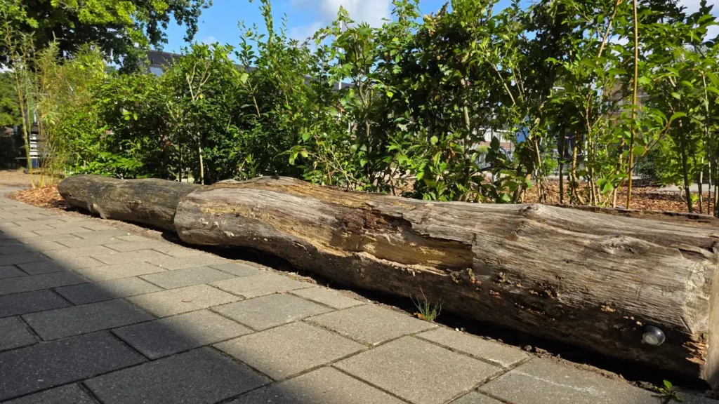 Annie M.G. Schmidt school - Groen Schoolplein - Sfeerfoto 5