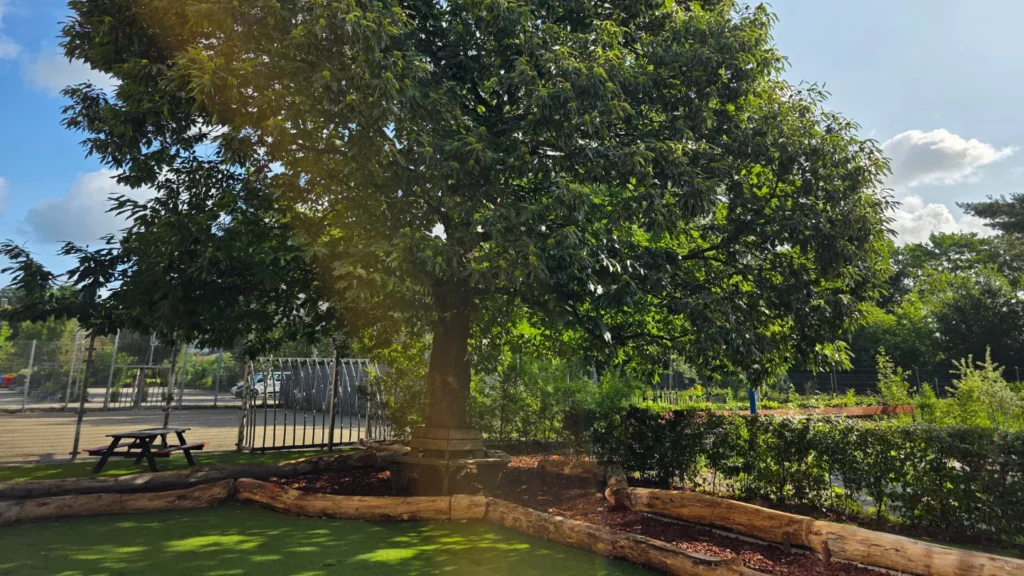 Annie M.G. Schmidt school - Groen Schoolplein - Sfeerfoto 7