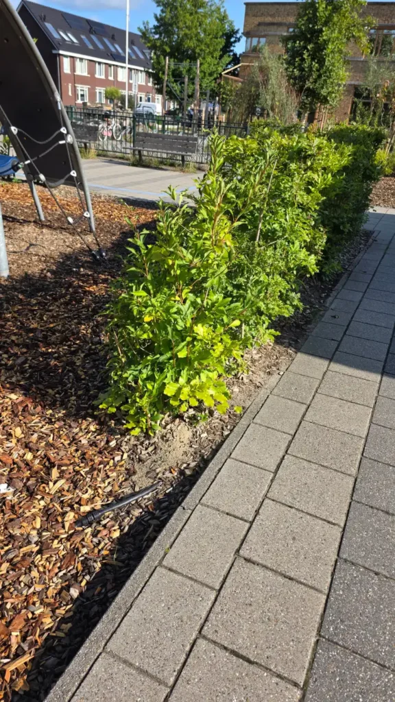 Annie M.G. Schmidt school - Groen Schoolplein - Sfeerfoto 10